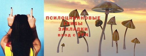 круглые Белокуриха
