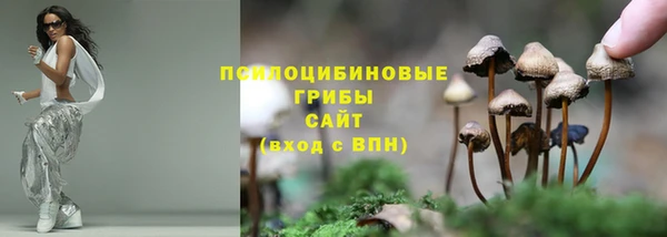 соль ск Белоозёрский