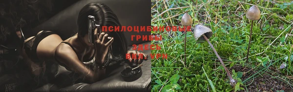 круглые Белокуриха