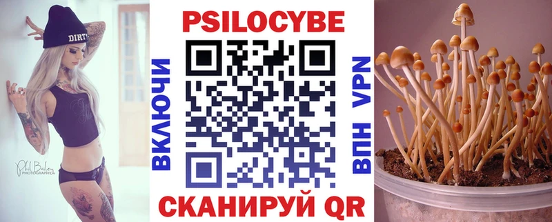 цены   Макаров  нарко площадка официальный сайт  Псилоцибиновые грибы MAGIC MUSHROOMS 